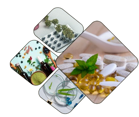 Digital Marketing Course Facebook Post  1  removebg preview