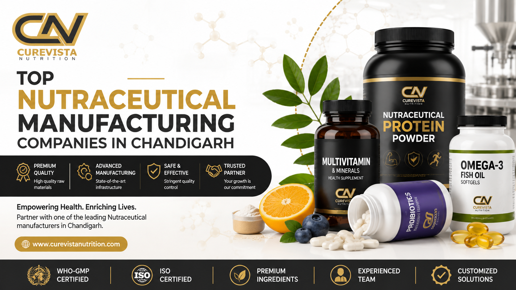 Top Nutraceutical Manufacturing Companies in Chandigarh